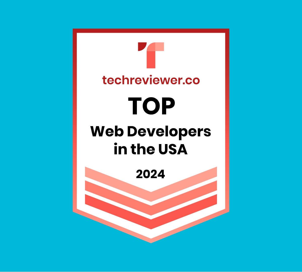 Top Web Developers in the USA